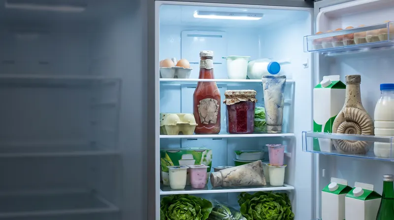 Comida que se echa a perder olvidada en casa